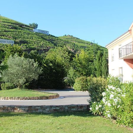 Hotel Le Domaine Des Vignes Ampuis Lyon Sud Vienne Exterior photo