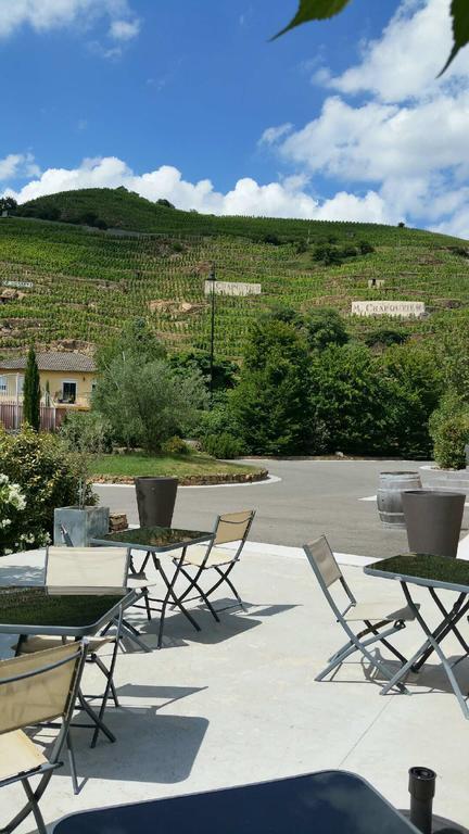 Hotel Le Domaine Des Vignes Ampuis Lyon Sud Vienne Exterior photo