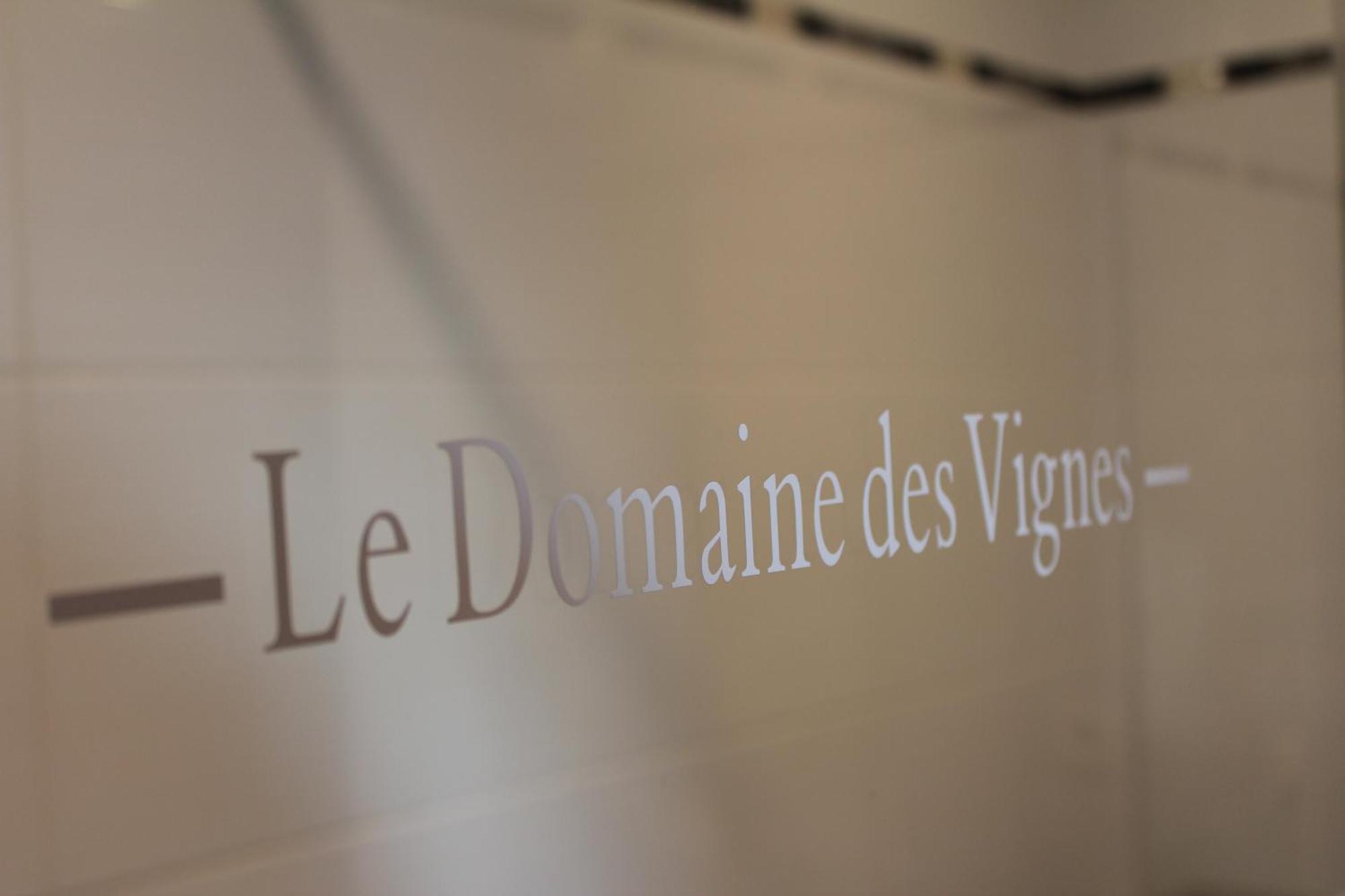 Hotel Le Domaine Des Vignes Ampuis Lyon Sud Vienne Exterior photo