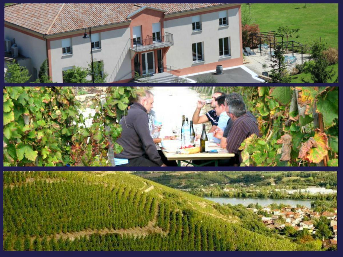 Hotel Le Domaine Des Vignes Ampuis Lyon Sud Vienne Exterior photo